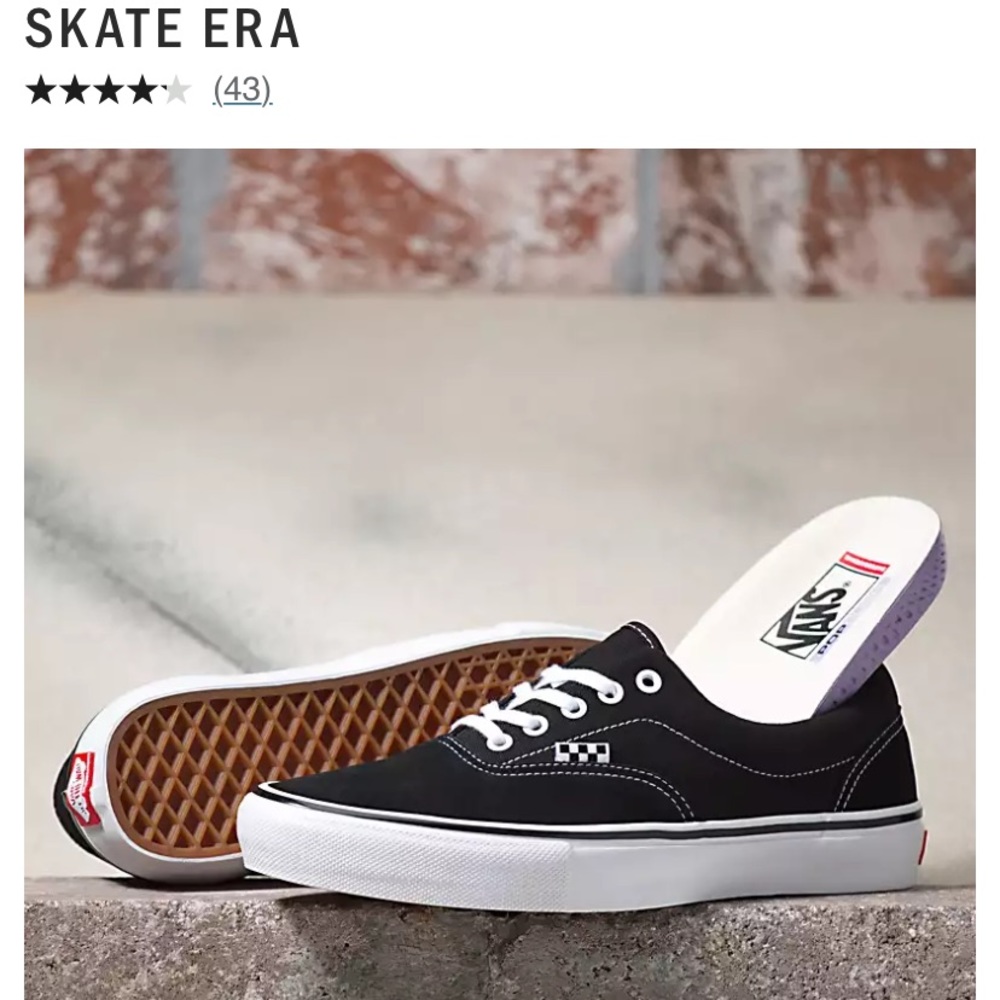 Vans Skate Era Shoes